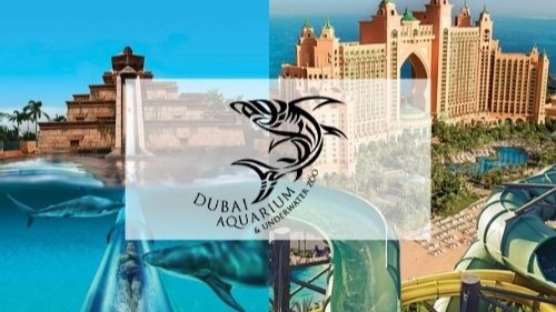 Dubai Mall Aquarium & Underwater Zoo